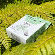 SEDA DENTAL ORGÁNICA MENTA 50 m | SOUL SEED